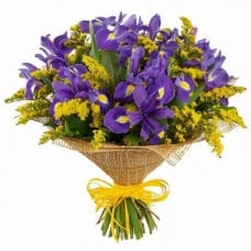 You Are Unique Bouquet - 15 Purple Irises & Yellow Solidago (regular - fresh quality flowers)