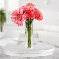 Valentine Pink Gerbera Vase (24 Red Gerberas)