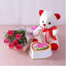 Vanilla Love Combo (12 Red Roses, 1/2 Kg Vanilla cake & 6 Inch Teddy)