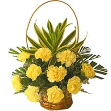 Yellow Carnation Basket (12 Flower)