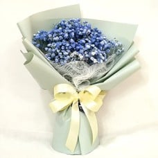 Purity French Blue (Normal)