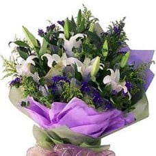 Triump Grace (Small)