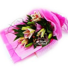 Floral Fever (Normal)