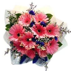 Gerberas Charm (Small)