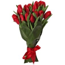 Spring Tulips (Small)