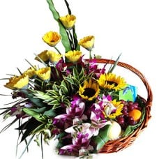 Good Health (Small)