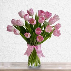 Pink Gorgeous Tulips (Small)
