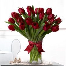 Tulipa Kiss (Small)