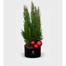 Tinsels Tidings Tree Round Box