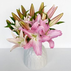 Lily Bloom