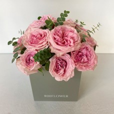 Pink Ohara In A Box