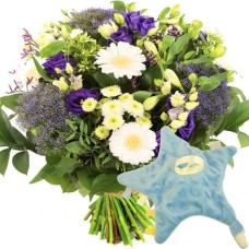Boy bouquet + star comfort blanket (Birth bouquet + star pacifier comfort blanket)