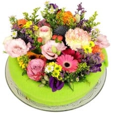 Wild bouncy flower cake (Colorful bouncy flower cake medium on a glass plate)
