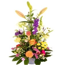 Mixed hand-picked flower arrangement H 60cm x W 30cm (Medium variegated pick-your-own flower arrangement)