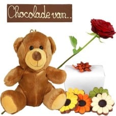 Chocolate bar + cuddly toy and chocolate flowers (Luxury chocolate plush toy package)