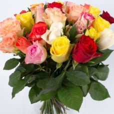 Colored Roses (Medium)