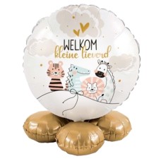 Balloon gift Welcome little darling