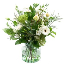 Spring white (Standard (S))
