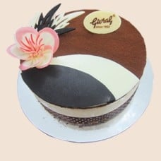 Tiramisu Ice Cream Cake Pas