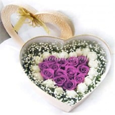 Purple Roses - The Silk King