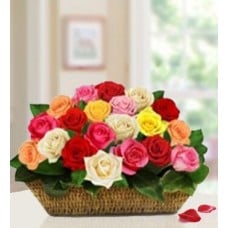 Celebrate The Moment (20 Mixed Roses)