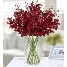 Exotic Refinement (20 Red Mokara Orchids)
