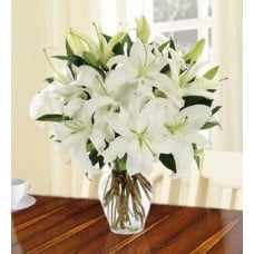 Rare Beauty (30 White Lilies)