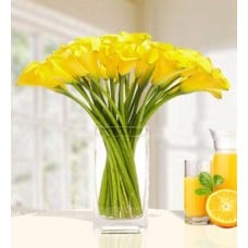 Sunshine Fields (20 Calla Lily)