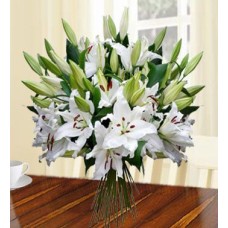 Honest Beauty (60 White Lilies)