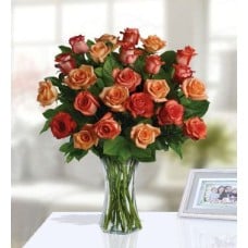 The Sun (24 Orange Roses)