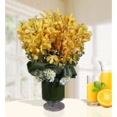 Golden Hue (30 Yellow Mokara)