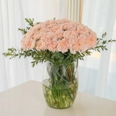 40 Pink Carnations in Vase (Classic)