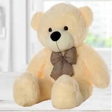 Jumbo Teddy