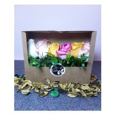 Roses Garden