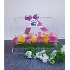 The Plexy Roses