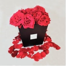 ROSES IN BOX