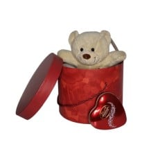 Teddy in the box