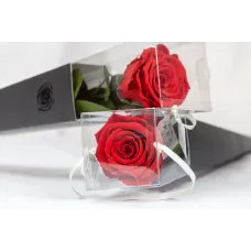 RoseAmor Infinity Rose Lori