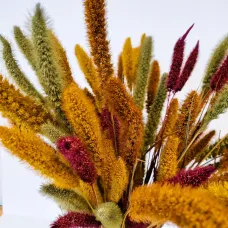 Dried flower bouquet SETARIA