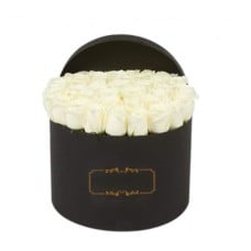 White Roses in Box