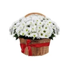 Composition basket Chrysanthemum daisy white