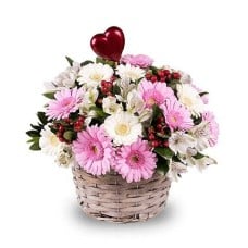 Pink and White Mini Gerberas