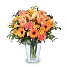Lilies and Carnations