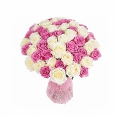 51 Pink White Roses