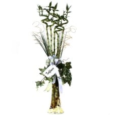lucky bamboo 5 stem