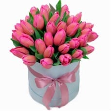 35 pink tulips in box