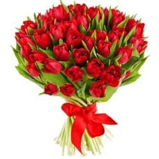 51 Red Tulips