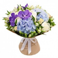 Hydrangea Vanda