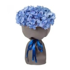 1 Blue Hydrangea