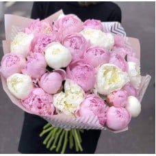 25 Pink and White Peonies Bouquet